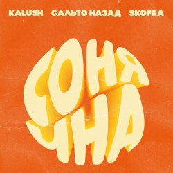 Cover KALUSH, Сальто Назад, Skofka - Сонячна