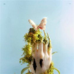 Cover Liu Lian - Drop It High