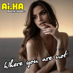 Cover Where you are not