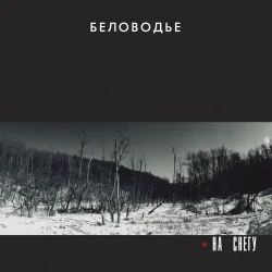 Cover Беловодье - Куполами