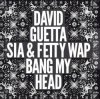 Cover David Guetta feat. Sia - Bang My Head David Guetta feat. Sia - Bang My Head
