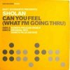 Cover Matt Schwartz pres. Sholan - Can You Feel Matt Schwartz pres. Sholan - Can You Feel