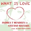 Cover Andrea T Mendoza vs. Stefano Mattara feat. AJ - What Is Love (Radio Edit) Andrea T Mendoza vs. Stefano Mattara feat. AJ - What Is Love (Radio Edit)