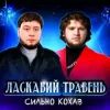 Ласкавий Травень - Cильно Кохав (IGOR MATUS Remix)