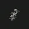 John Michael Howell & JVKE & ZVC - A Thousand Year