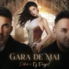Cover Petra & DJ Project - Gara de mai Petra & DJ Project - Gara de mai