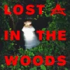 Cover Elderbrook & Adriatique - Lost In The Woods Elderbrook & Adriatique - Lost In The Woods