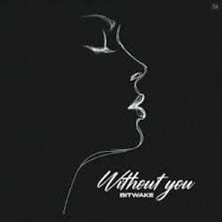 Cover Bitwake - Promises
