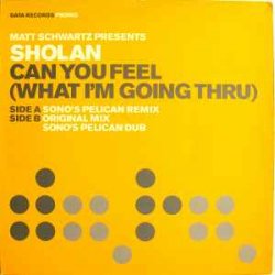 Cover Matt Schwartz pres. Sholan - Can You Feel