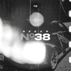 Cover SEEAR - No38