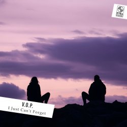 Cover V.O.P. - I Just Can't Forget