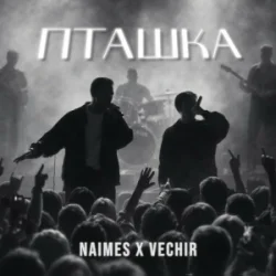 Cover NAIMES & VECHIR - пташка
