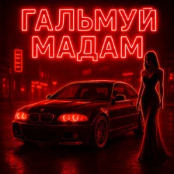Cover Fartovyy - Гальмуй мадам
