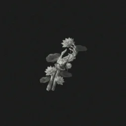 Cover John Michael Howell & JVKE & ZVC - A Thousand Year