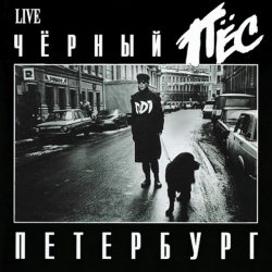 Cover ДДТ - Чёрный пёс Петербург