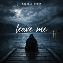 Cover skyfall beats - leave me