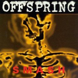 Cover The Offspring - What Happened To You