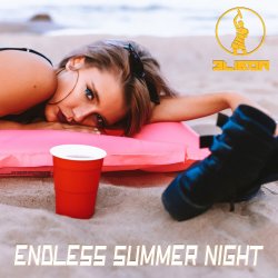 Cover Endless Summer Night