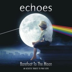 Cover Echoes - Shine on you crazy diamond