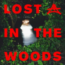 Cover Elderbrook & Adriatique - Lost In The Woods