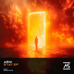 Cover Divinsity - Ashes to Anthem (Hardstyle)