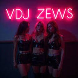 Cover VDJ ZEWS - Random Feelings