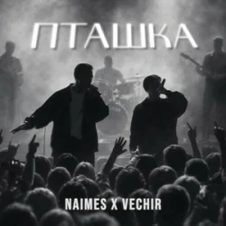 Cover NAIMES & VECHIR - пташка (KARMV REMIX)