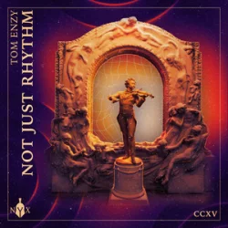 Cover Tom Enzy - Not Just Rhythm