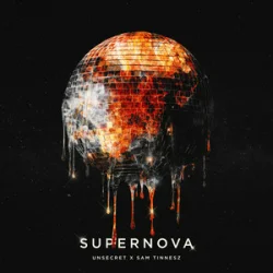 Cover Sam Tinnesz & UNSECRET - Supernova