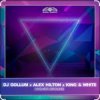 Cover Dj Gollum feat. Alex Hilton & King & White - Higher Ground Dj Gollum feat. Alex Hilton & King & White - Higher Ground