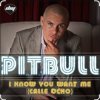 Cover Pitbull - I Know You Want Me Pitbull - I Know You Want Me