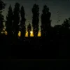 Cover ALEKCION - І я біжу ALEKCION - І я біжу