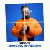 Cover Shnaps - Danсing shadows Shnaps - Danсing shadows