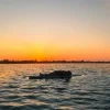 Cover Disclosure - The Sun Comes Up Tremendous Disclosure - The Sun Comes Up Tremendous