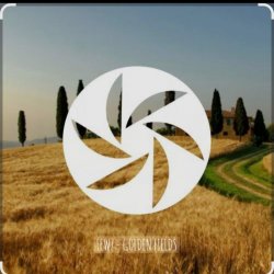 Cover FEWZ - Golden Fields