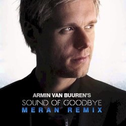 Cover Armin van Buuren - The Sound Of Goodbye (Radio Edit)