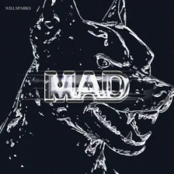 Cover Will Sparks - Mad