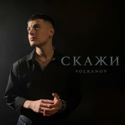 Cover VOLKANOV - СКАЖИ (KARMV REMIX)