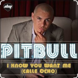 Cover Pitbull - I Know You Want Me