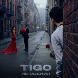 Cover TIGO - Не оценил