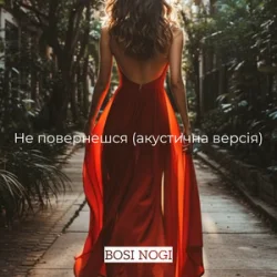 Cover BOSI NOGI - Не повернешся (акустична версія)