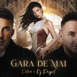 Petra & DJ Project - Gara de mai (Adrian Funk & OLiX Remix)