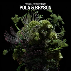 Cover Pola & Bryson - Insomnia (Mixed)