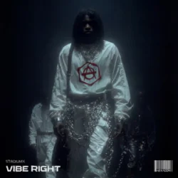 Cover Stadiumx - Vibe Right