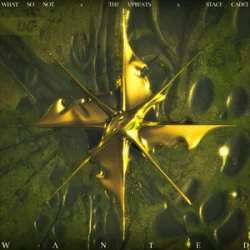 Cover What So Not & The Upbeats - Wanted