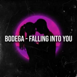 Cover Bodega - Falling Into You