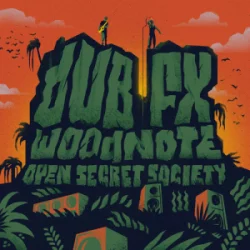 Cover Dub FX & Mr Woodnote - COME AGAIN (feat. Prezence)