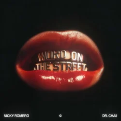 Cover Nicky Romero & Dr. Chaii - Word On The Street