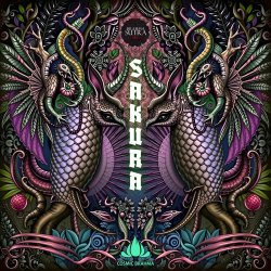 Cover Cosmic Brahma - Samurai Jack