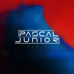 Cover Pascal Junior & Papa Jr. - Ploaia (Remix)